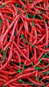 Capsaicina chilli