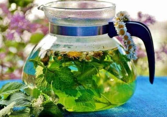 chá de ervas em uma jarra