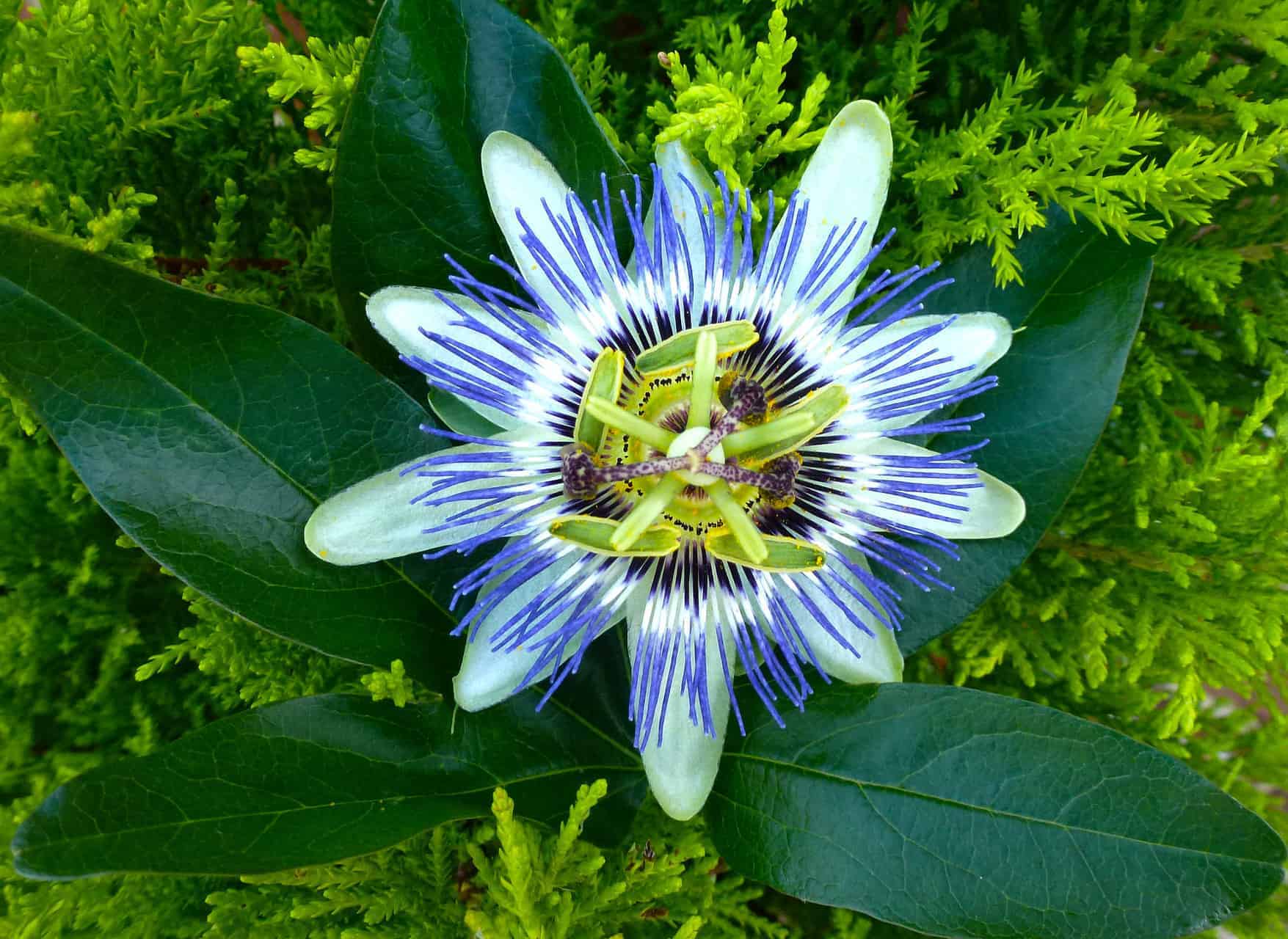 16769744426 af067abd3c k