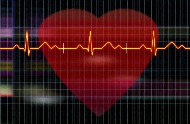  gráfico mostrando as gravações do coração e electrocardiógrafo