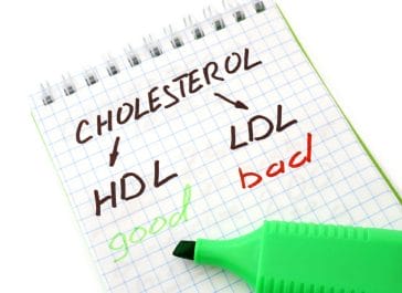  o bom e o mau colesterol